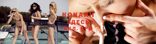 стаф Карталы