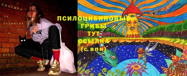 метадон Касимов