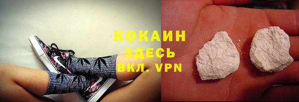 мдпв Карпинск