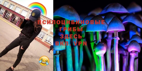 метадон Касимов