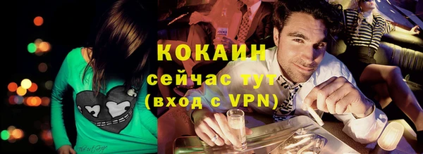 мдпв Карпинск