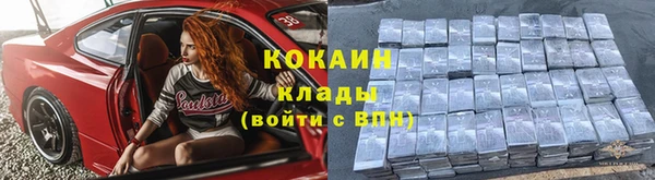 мдпв Карпинск
