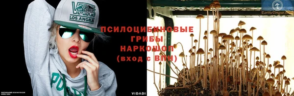 метадон Касимов