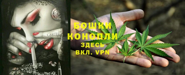 мдпв Карпинск
