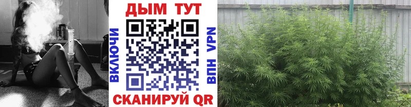 МАРИХУАНА сатива  Купить где  Томск 